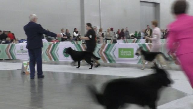 Сравнение на ЛС