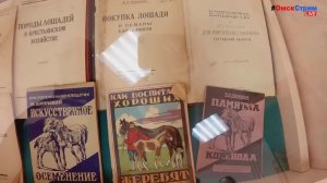 LIVE Омск в объективе - 24/7/365 #ОмскСтрим социальный онлайн-канал