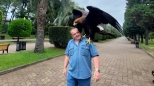 Орел Сел на Плечо в Батуми