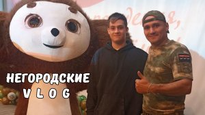 День народного единства провели на концерте Артёма Кальянова. 4.11.25