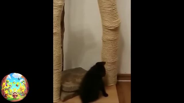 Улучшатель настроения! #5