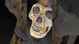 Поездка Ч 5. в Музей Истории Мироздания, Подмосковье🌎Таисия и Маргарита в эфире Ноябрь 2025 🥰