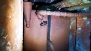 КаУР, ОПАБ 283, (Сестрорецк), ДОТ №185 "Пчела" (1928г.). Выезд 23.11.2025 г. (Часть 3).