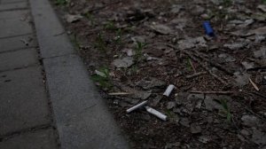 Парки города