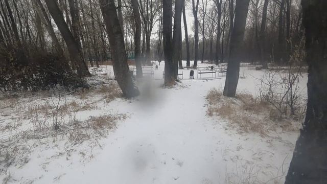 Сны наяву.😊