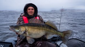 Трофейная рыбалка на СУДАКА!