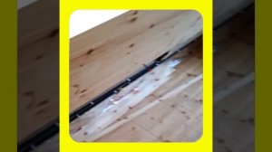 1000040913.mp4 (Собака смотрит на монтаж э/проводки (план. э/вентиляции в ванной) в доме А-фрейм)