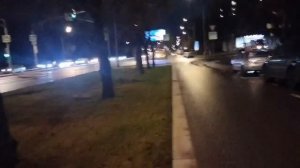 Вырубка деревьев на площадке будущей станции Липецкая Бирюлёвской линии