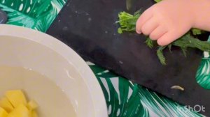 Национальная кухня связь поколений. Готовим щи