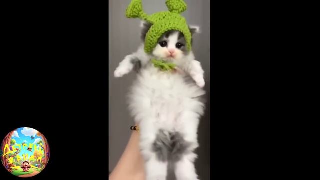 забавные и смешные кошечки и собачки 17