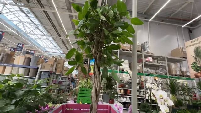 ВЛОГ Муж НЕ ХОЧЕТ покупать НОВЫЙ СТОЛ ‼️Ремонт в нашей квартире на море в Анапе ! смотреть онлайн