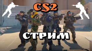 СИЛЬВЕР ИГРАЕТ В CS2