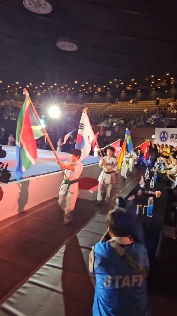 23.11.25 г. Флаги стран-участниц соревнований, чемпионата и первенства мира в Токио (Японии) смотреть онлайн