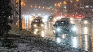 В Москве выпало 17% месячной нормы осадков за ночь