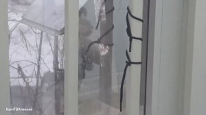 Кормите детей наших меньших!