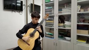 XI СПб конкурс им. Тарреги, Папикян Мхитар, Э.Пухоль - этюд "Шмель"