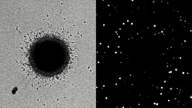 3I/ATLAS Опроверг Все Прогнозы — NASA Готовится Опубликовать Новые Снимки