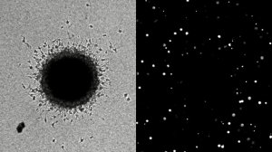 3I/ATLAS Опроверг Все Прогнозы — NASA Готовится Опубликовать Новые Снимки