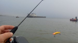 шок судак бьет на глубине меньше метра такой рыбалки не было #судак #дон #рыбалка #осень #топ