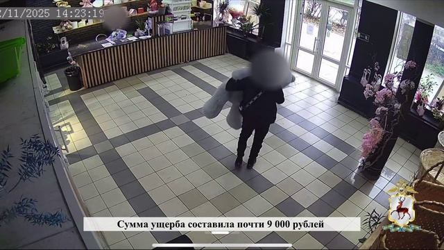 В Нижнем Новгороде оперативники задержали нижегородца, открыто похитившего плюшевого медведя смотреть онлайн