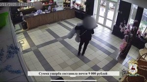 В Нижнем Новгороде оперативники задержали нижегородца, открыто похитившего плюшевого медведя
