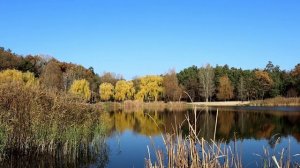 ДИН-ДОН (осенняя песня)