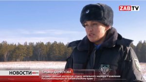 Россельхознадзор разъясняет, как избежать серьезных последствий из-за заросших земельных участков