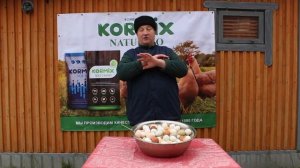 КРУПНОЕ ТЯЖЁЛОЕ КУРИНОЕ ЯЙЦО! СОСТАВЛЮ РАЦИОН КОРМЛЕНИЯ ДЛЯ ТВОИХ КУР! 24.11.2025 ГОД.