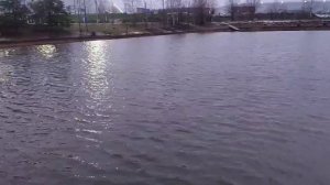 WhatsApp Video 2025-11-24 at 16.49.29