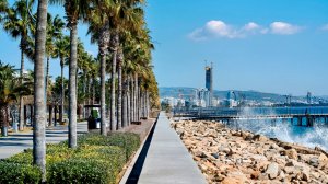 Аномально теплая погода в Сочи продлила пляжный сезон. Воздух разогрелся до +23 градусов