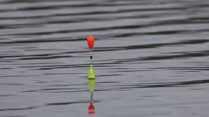 С_поплавком_В_ОКТЯБРЕ!!_Ловля_КАРАСЯ_ОСЕНЬЮ_на_ПОПЛАВОЧНУЮ_УДОЧКУ!! (1)