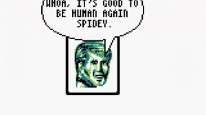 The Amazing Spider-Man 2 (US) (1992) [Game Boy]