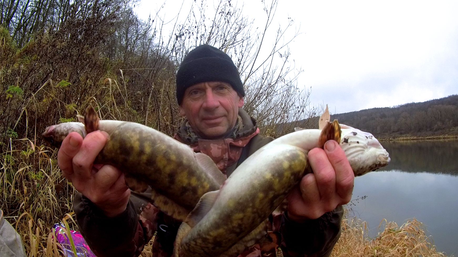 НАЛИМ 2.0. Всех живцов изгрызли. Рыбалка на Оке на ночные донки.