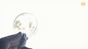 Наше тело скрывает больше, чем вы думаете — 50+ открытий