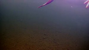 Якутия t-40°. Проверяем перемёт.