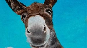 Любопытный ослик