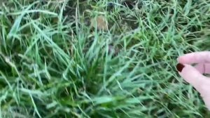 ВЛОГ Наше УТРО ! Продаю отпариватель ! Куда мы поехали ?