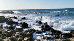 Цветовая палитра Чёрного моря.