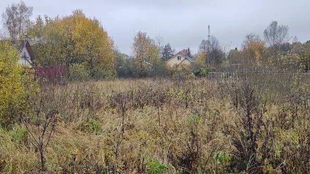 ЗУ:2110 д.Толстяково