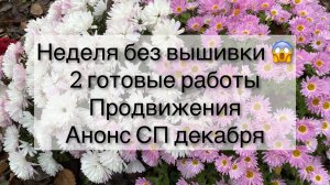 Влог (17-23.11) Неделя без вышивки! 2 готовые работы 🧦 Продвижения 🧶 Анонсы СП Декабря.