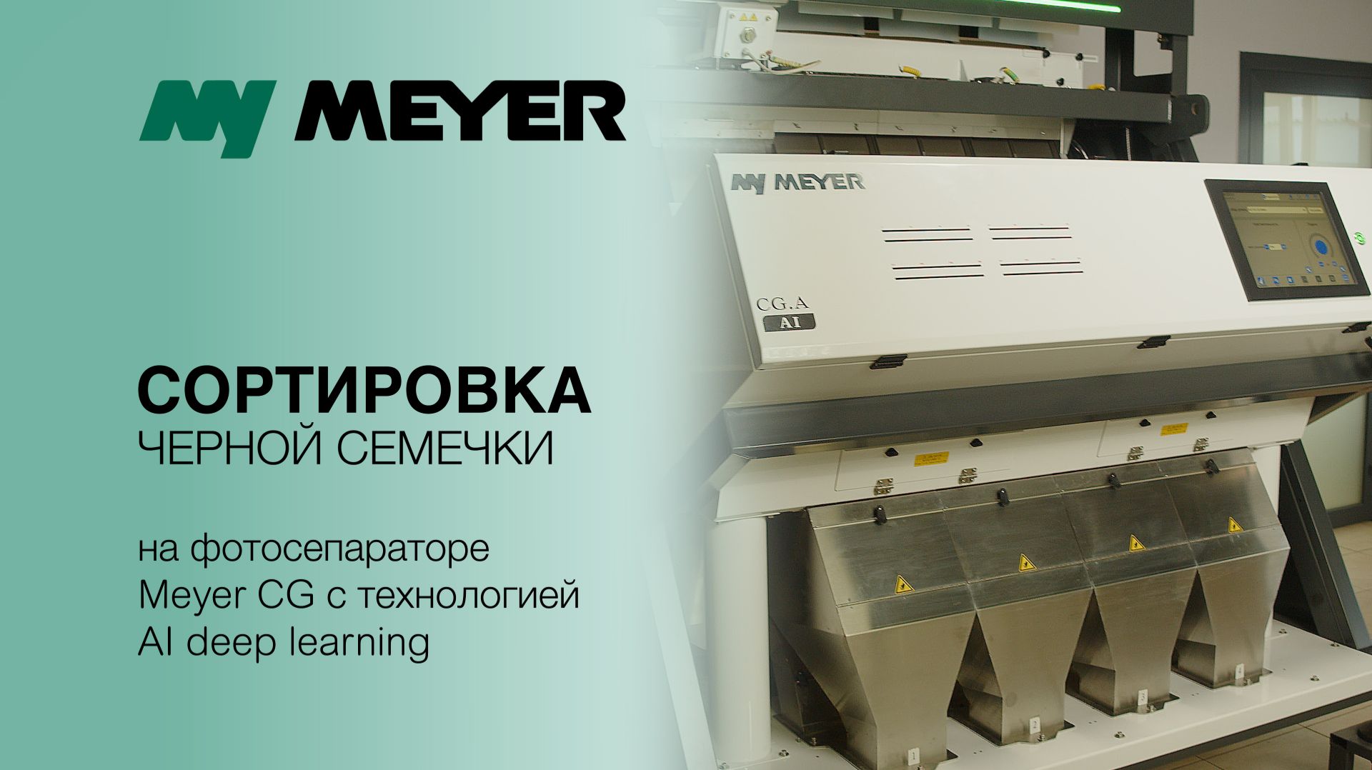 Сортировка полосатой семечки