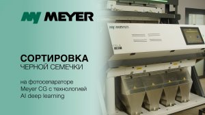 Сортировка полосатой семечки