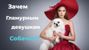 Зачем Гламурным девушкам маленькие собачки??? 🤣🤣🤣