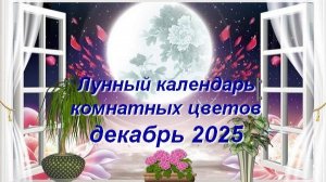 Лунный календарь комнатных растений и цветов на декабрь 2025 года