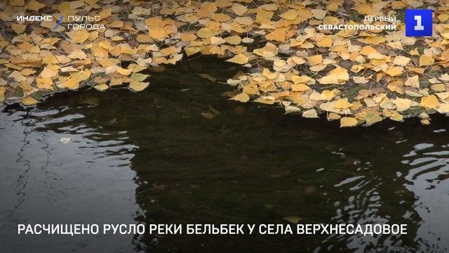 Расчищено русло реки Бельбек у села Верхнесадовое