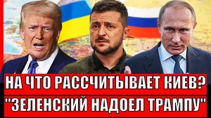 На что рассчитывала Украина!? Зеленский надоел Трампу// Будет ли "Мирный план"!?