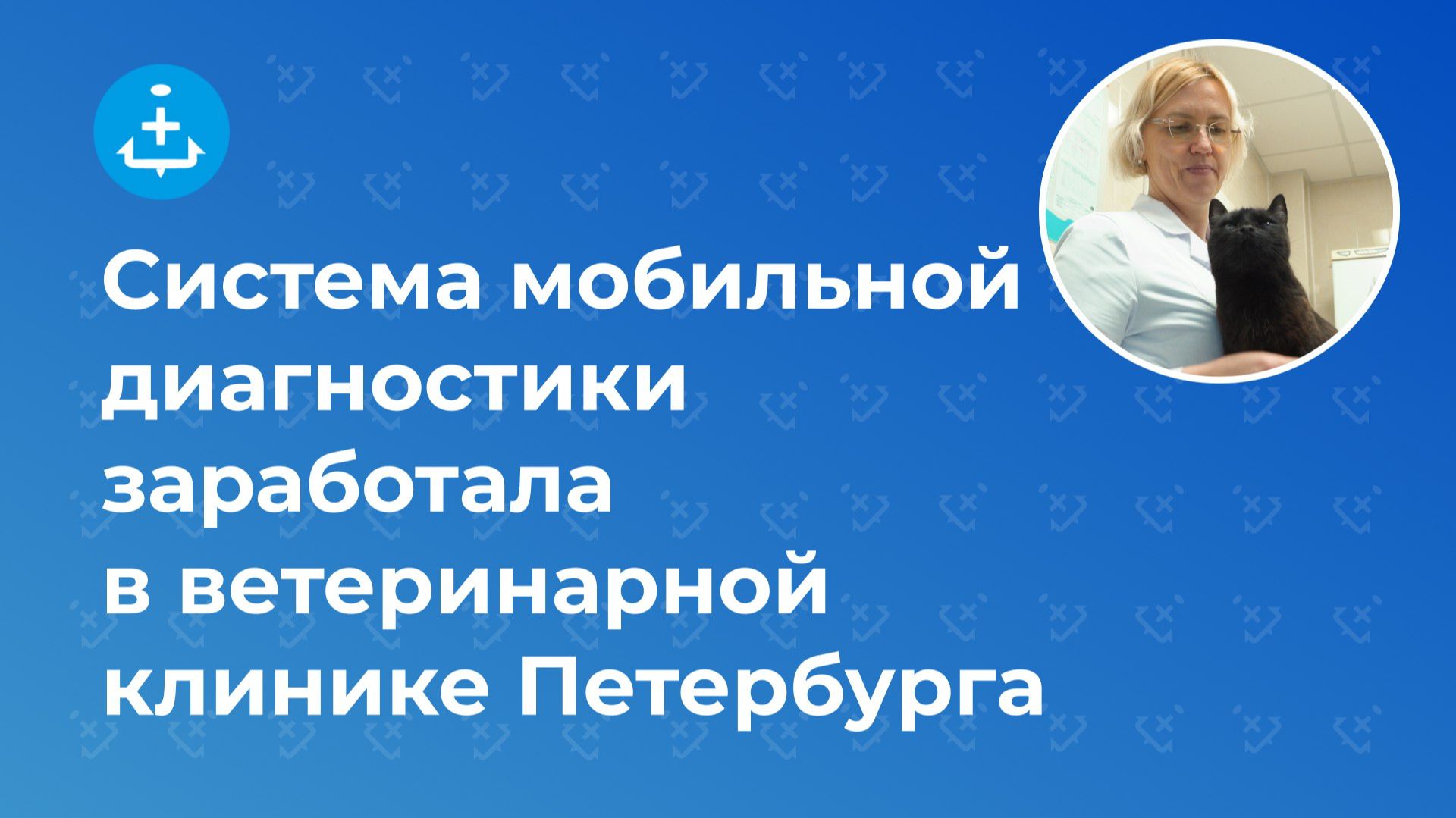 Система мобильной диагностики заработала в ветеринарной клинике Петербурга
