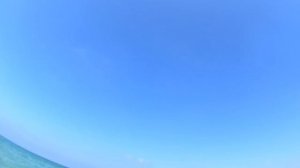 Тарханкут. Оленевка. Пляж и подводный мир. Крым