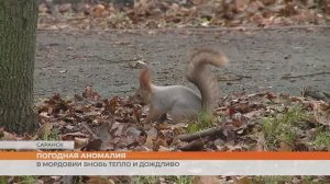 До декабря погода не перейдет на зимний режим