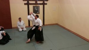 Тренировка по айкидо